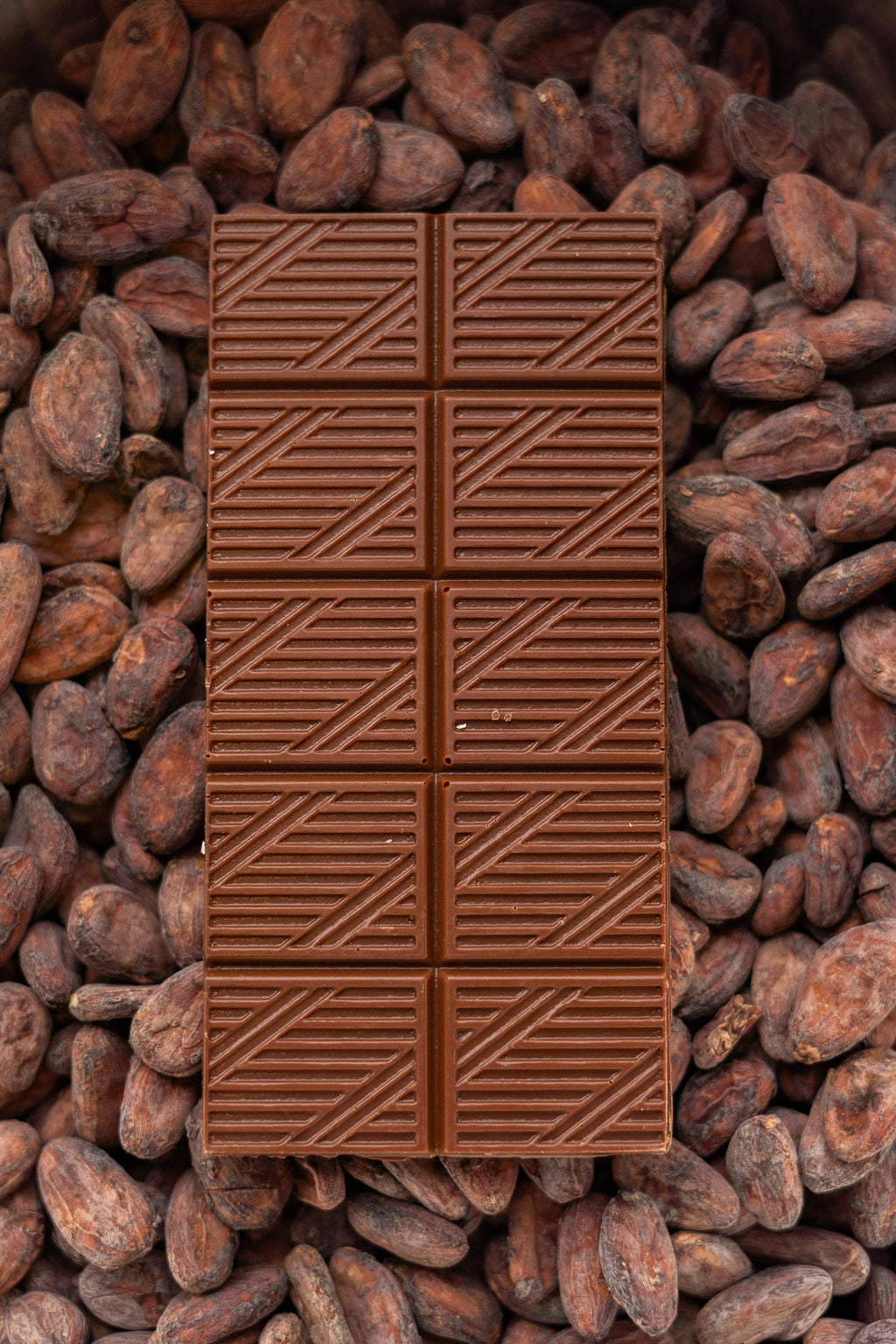 48% Milk Chocolate (Lightly Salted) 20g protein